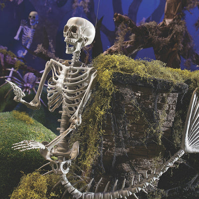 Best 6FT Life-Size Poseable Mermaid Skeleton For Halloween Decorations - Avionnti