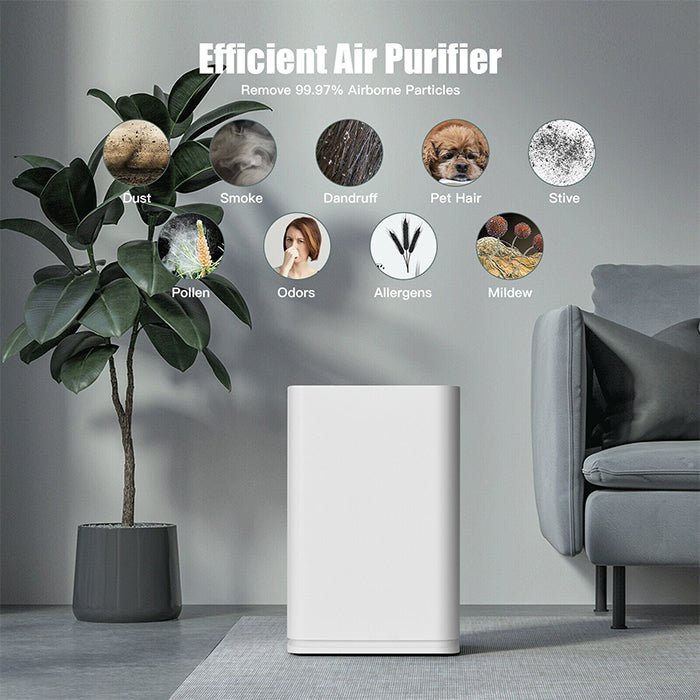 Best Advanced Home HEPA Filter Air Purifier - 800SQFT Coverage - Avionnti