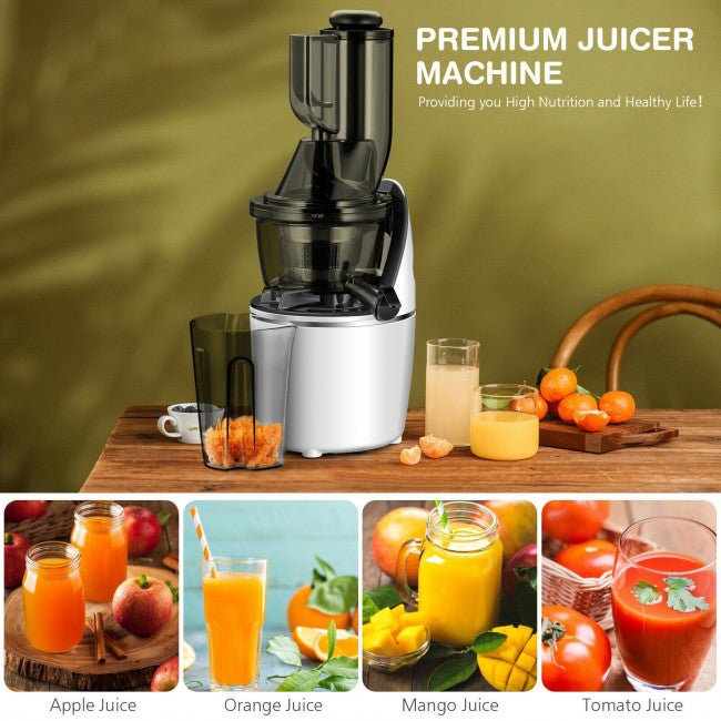 Premier Slow Masticating Cold Press Juice Extractor with Cleaner Brush - Avionnti