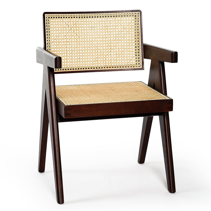 Premium Natural Rattan Chandigarh Dining Chair With Solid Wood Frame - Avionnti